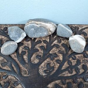 5 Maine Banded Stones East Coast Beach Rocks Raw Mineral Specimens Gray White